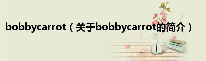 bobbycarrot（關于bobbycarrot的簡介）