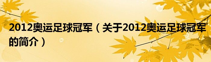 2012奧運足球冠軍（關于2012奧運足球冠軍的簡介）