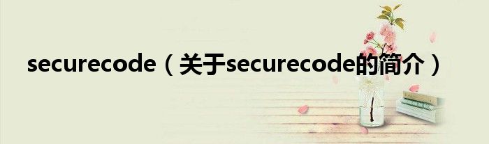 securecode（關(guān)于securecode的簡介）