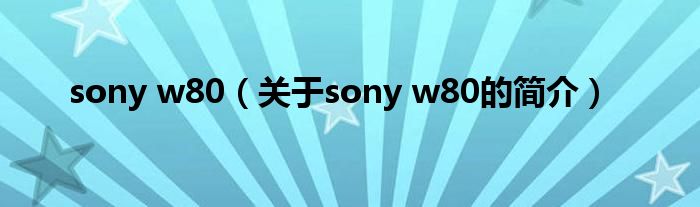 sony w80（關于sony w80的簡介）