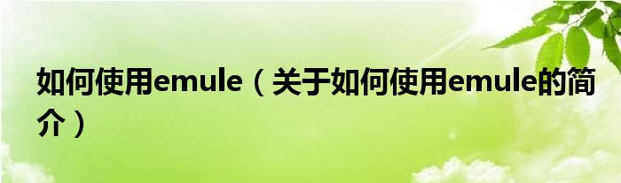 如何使用emule（關(guān)于如何使用emule的簡介）