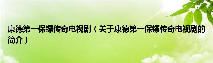 康德第一保鏢傳奇電視?。P(guān)于康德第一保鏢傳奇電視劇的簡介）