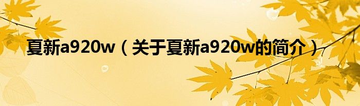 夏新a920w（關于夏新a920w的簡介）