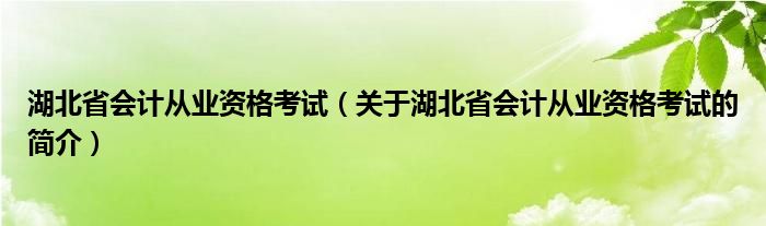 湖北省會計從業(yè)資格考試（關(guān)于湖北省會計從業(yè)資格考試的簡介）