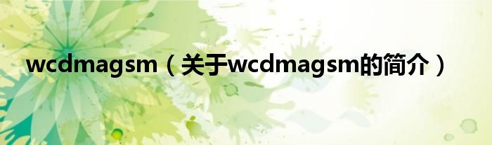 wcdmagsm（關(guān)于wcdmagsm的簡介）