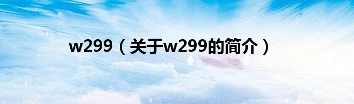 w299（關(guān)于w299的簡(jiǎn)介）