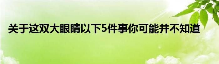 關(guān)于這雙大眼睛以下5件事你可能并不知道