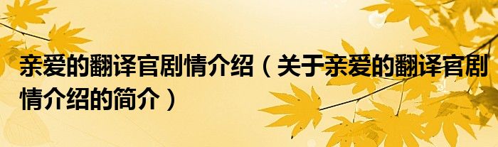 親愛的翻譯官劇情介紹（關(guān)于親愛的翻譯官劇情介紹的簡(jiǎn)介）