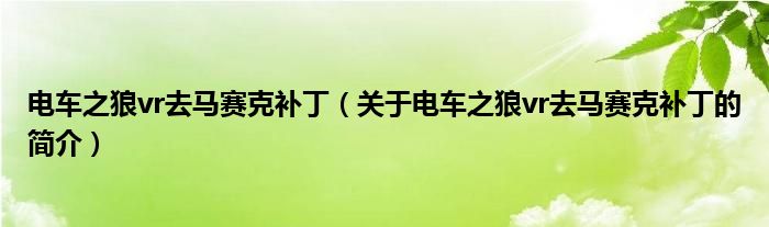 電車之狼vr去馬賽克補(bǔ)?。P(guān)于電車之狼vr去馬賽克補(bǔ)丁的簡(jiǎn)介）