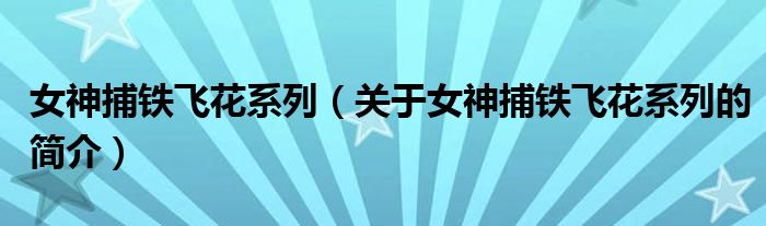 女神捕鐵飛花系列（關于女神捕鐵飛花系列的簡介）