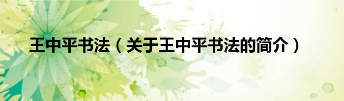 王中平書法（關(guān)于王中平書法的簡介）