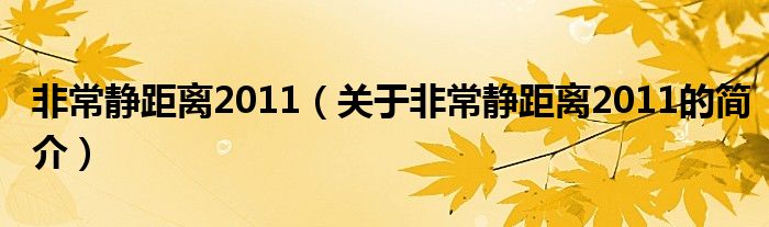 非常靜距離2011（關(guān)于非常靜距離2011的簡介）