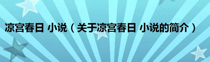 涼宮春日 小說（關(guān)于涼宮春日 小說的簡介）