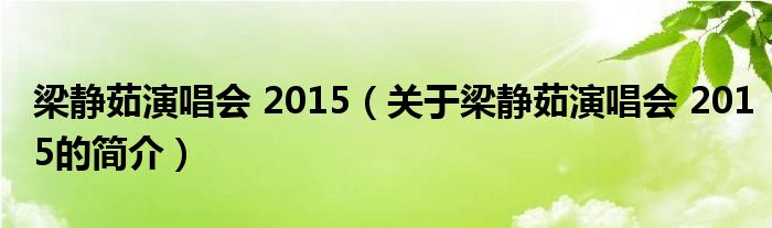 梁靜茹演唱會 2015（關于梁靜茹演唱會 2015的簡介）