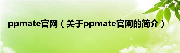 ppmate官網(wǎng)（關(guān)于ppmate官網(wǎng)的簡介）