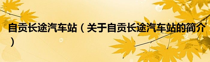 自貢長途汽車站（關(guān)于自貢長途汽車站的簡介）