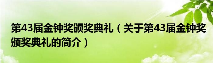 第43屆金鐘獎頒獎典禮（關于第43屆金鐘獎頒獎典禮的簡介）