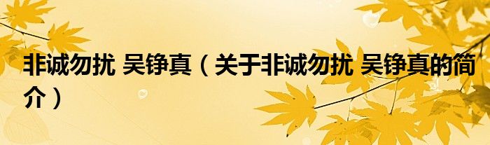 非誠勿擾 吳錚真（關(guān)于非誠勿擾 吳錚真的簡介）