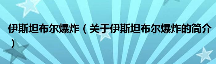 伊斯坦布爾爆炸（關(guān)于伊斯坦布爾爆炸的簡介）