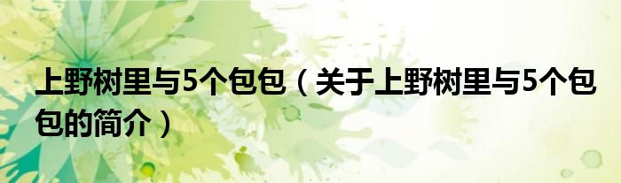 上野樹里與5個包包（關于上野樹里與5個包包的簡介）