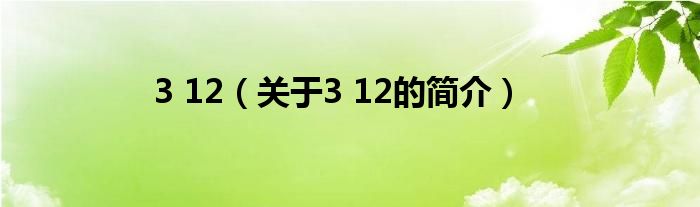 3 12（關于3 12的簡介）