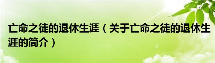 亡命之徒的退休生涯（關(guān)于亡命之徒的退休生涯的簡(jiǎn)介）