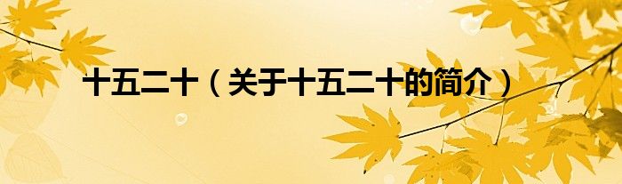 十五二十（關(guān)于十五二十的簡(jiǎn)介）