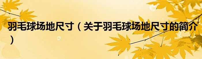 羽毛球場地尺寸（關(guān)于羽毛球場地尺寸的簡介）