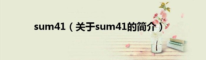 sum41（關于sum41的簡介）