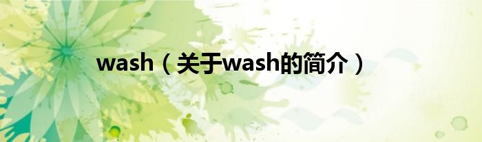 wash（關(guān)于wash的簡介）