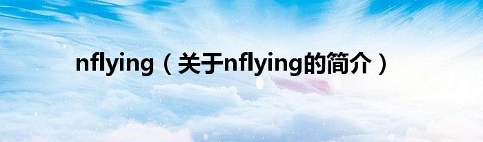 nflying（關(guān)于nflying的簡介）