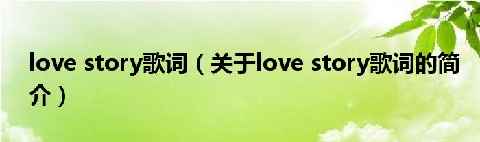 love story歌詞（關(guān)于love story歌詞的簡(jiǎn)介）