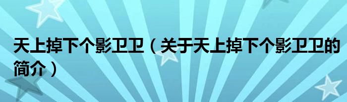 天上掉下個(gè)影衛(wèi)衛(wèi)（關(guān)于天上掉下個(gè)影衛(wèi)衛(wèi)的簡(jiǎn)介）