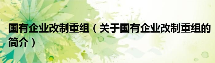 國有企業(yè)改制重組（關(guān)于國有企業(yè)改制重組的簡介）