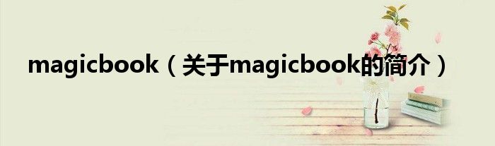 magicbook（關于magicbook的簡介）