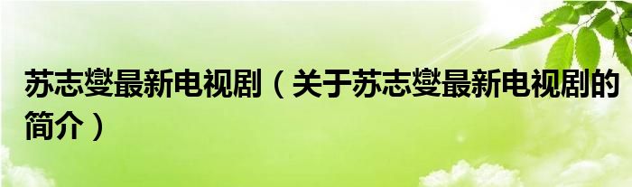 蘇志燮最新電視?。P(guān)于蘇志燮最新電視劇的簡介）