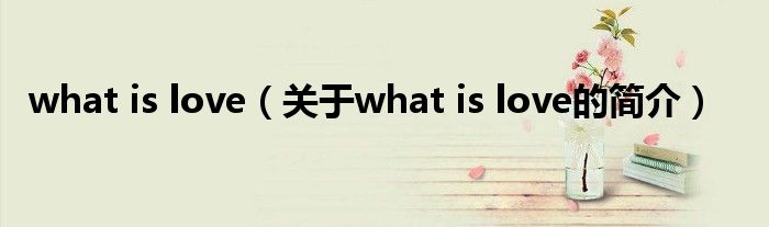 what is love（關于what is love的簡介）