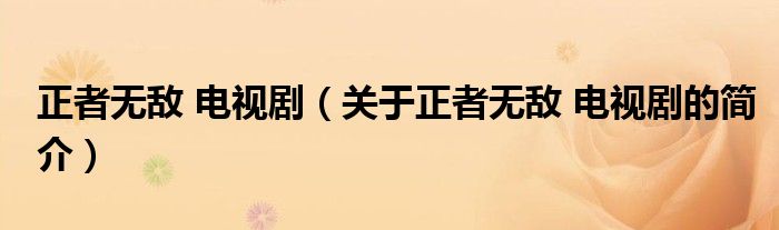 正者無(wú)敵 電視劇（關(guān)于正者無(wú)敵 電視劇的簡(jiǎn)介）