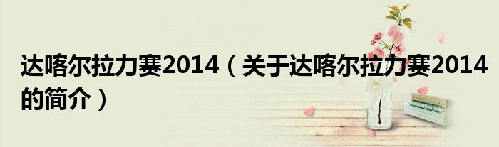 達喀爾拉力賽2014（關(guān)于達喀爾拉力賽2014的簡介）