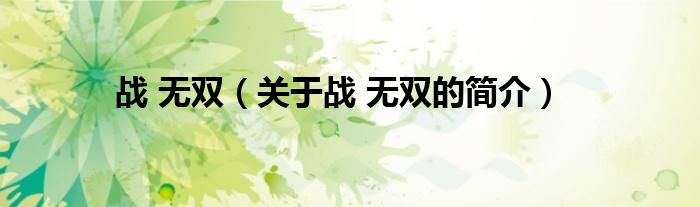 戰(zhàn) 無(wú)雙（關(guān)于戰(zhàn) 無(wú)雙的簡(jiǎn)介）