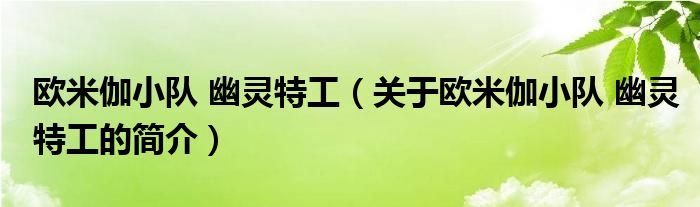 歐米伽小隊(duì) 幽靈特工（關(guān)于歐米伽小隊(duì) 幽靈特工的簡介）