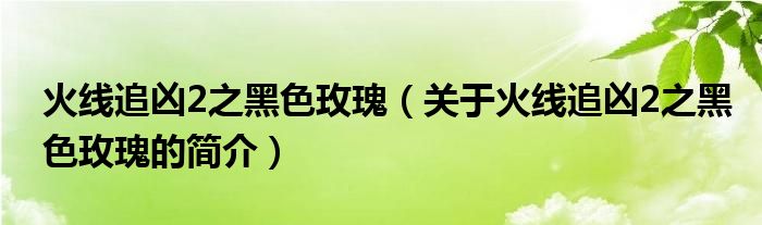 火線追兇2之黑色玫瑰（關于火線追兇2之黑色玫瑰的簡介）