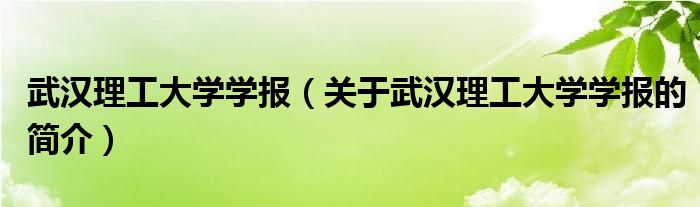 武漢理工大學學報（關(guān)于武漢理工大學學報的簡介）