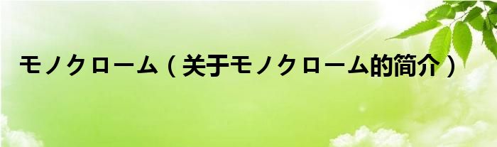 モノクローム（關(guān)于モノクローム的簡(jiǎn)介）