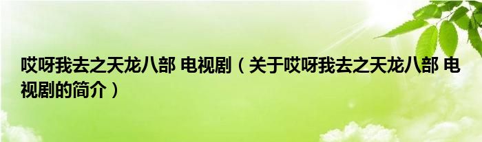 哎呀我去之天龍八部 電視?。P(guān)于哎呀我去之天龍八部 電視劇的簡(jiǎn)介）