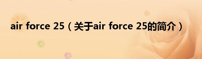 air force 25（關(guān)于air force 25的簡介）