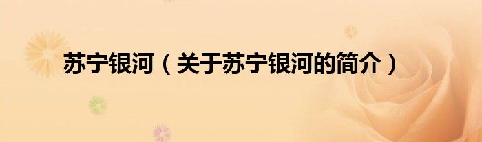 蘇寧銀河（關(guān)于蘇寧銀河的簡(jiǎn)介）