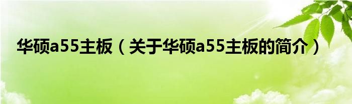 華碩a55主板（關(guān)于華碩a55主板的簡介）