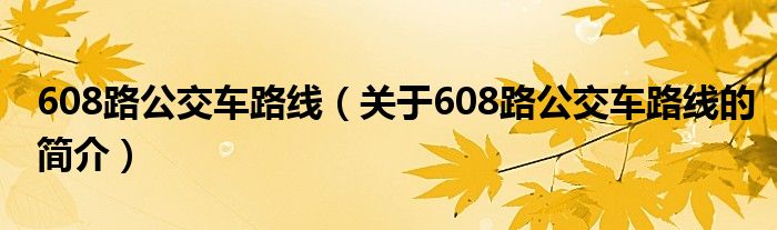 608路公交車路線（關于608路公交車路線的簡介）