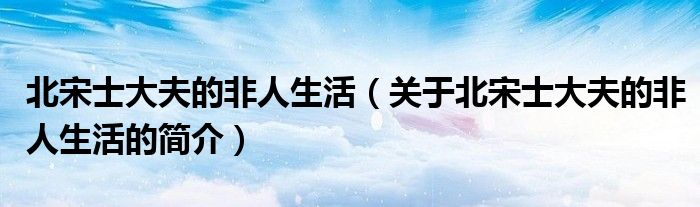 北宋士大夫的非人生活（關(guān)于北宋士大夫的非人生活的簡介）